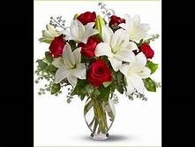 Red and White Rose Mix